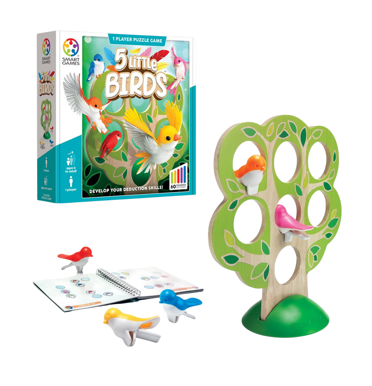 5 Little Birds