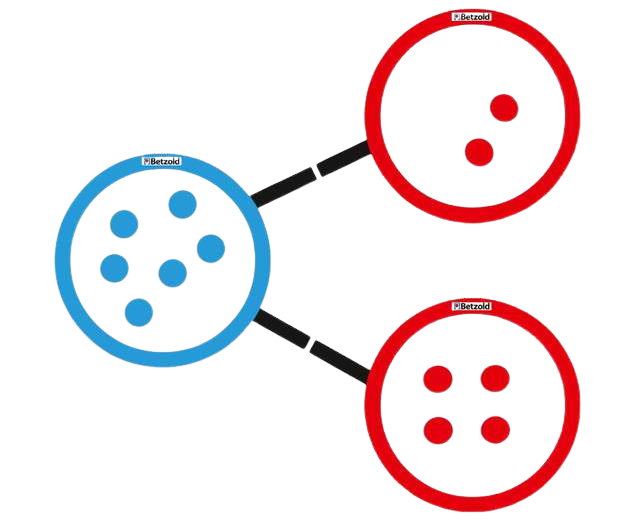 Sorteerringen magnetisch