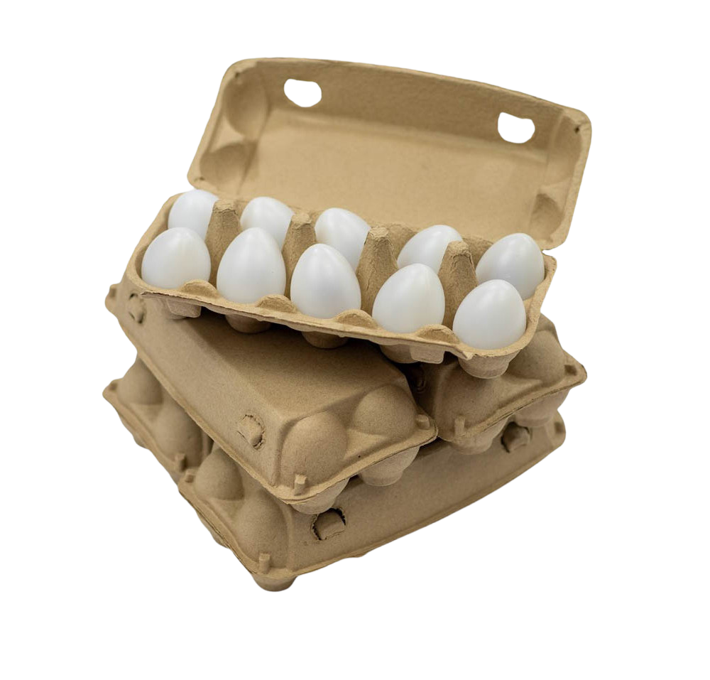 Rekeneieren 10 stuks in set van 5 dozen